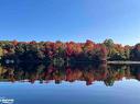 240 West Fox Lake Road, Huntsville, ON  - Outdoor With Body Of Water With View 