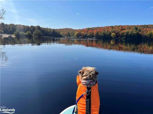 240 West Fox Lake Road, Huntsville, ON - Outdoor With Body Of Water With View