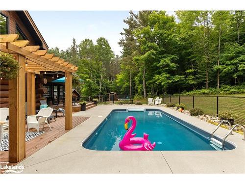 44 North Waseosa Lake Road, Huntsville, ON - Outdoor With In Ground Pool