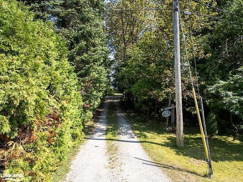 166 Bayview Avenue, Clarksburg, ON - Outdoor With View