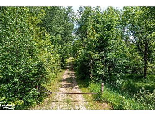 Part Lot 11-12 Sideroad 10, Chatsworth, ON 