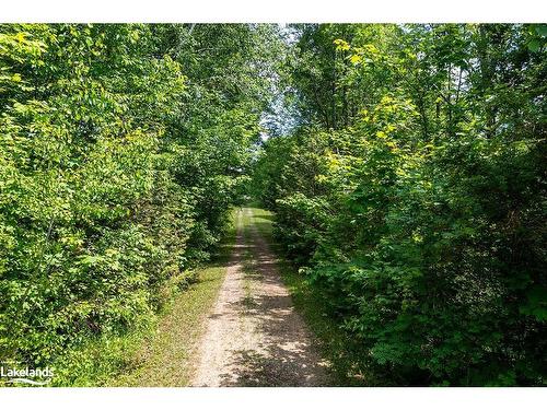 Part Lot 11-12 Sideroad 10, Chatsworth, ON 