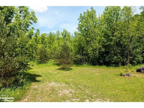 Part Lot 11-12 Sideroad 10, Chatsworth, ON 