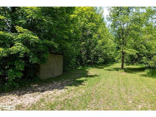 Part Lot 11-12 Sideroad 10, Chatsworth, ON 