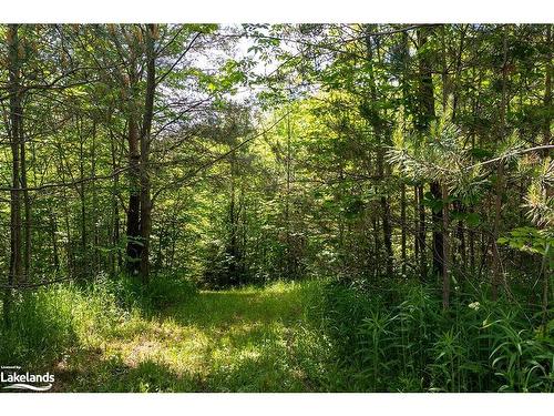 Part Lot 11-12 Sideroad 10, Chatsworth, ON 