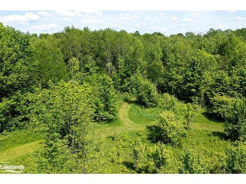 Part Lot 11-12 Sideroad 10, Chatsworth, ON 