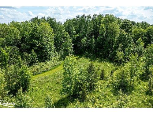 Part Lot 11-12 Sideroad 10, Chatsworth, ON 