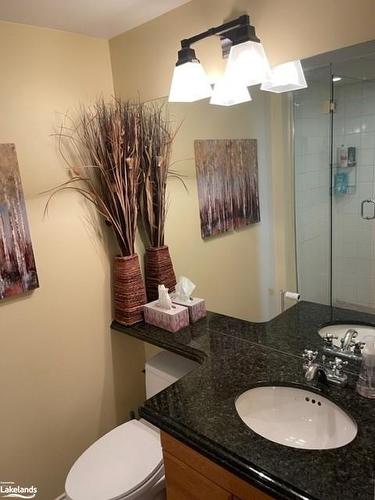 850 Suncrest Circle, Collingwood, ON - Indoor Photo Showing Bathroom