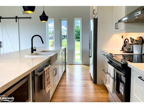 133 Young Drive, Singhampton, ON - Indoor Photo Showing Kitchen With Upgraded Kitchen