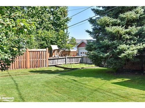 9 Park Road, Collingwood, ON - Outdoor With Backyard