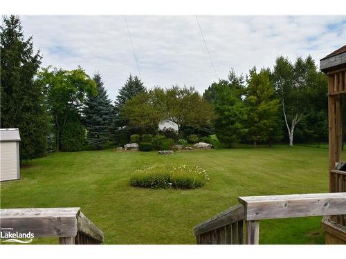 38 Mckean Boulevard, Nottawa, ON - Outdoor With Backyard