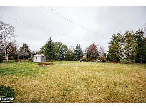 38 Mckean Boulevard, Nottawa, ON - Outdoor