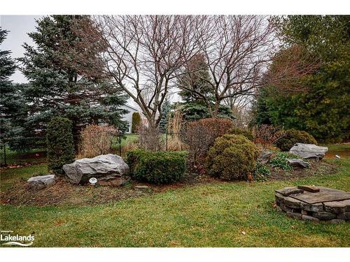 38 Mckean Boulevard, Nottawa, ON - Outdoor