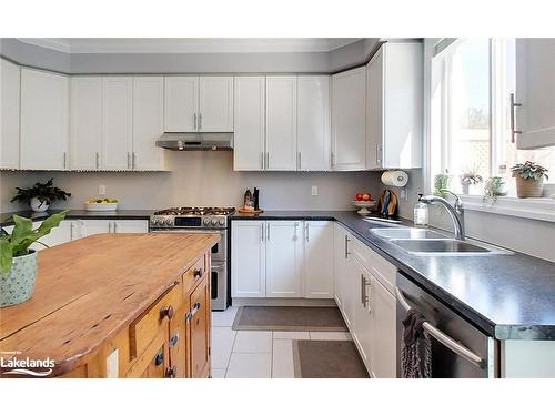 29 Garbutt Crescent, Collingwood, ON - Indoor Photo Showing Kitchen With Double Sink