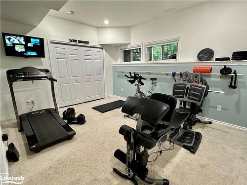 53 Lighthouse Lane E, Collingwood, ON - Indoor Photo Showing Gym Room