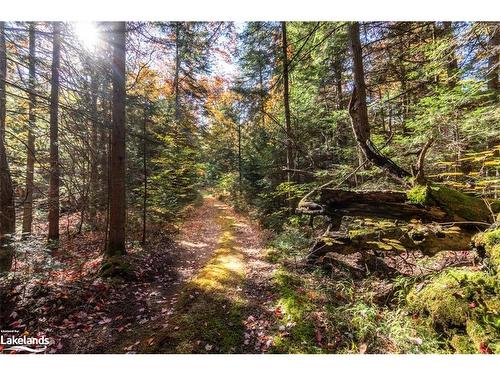 1374 Purbrook Road, Bracebridge, ON - Outdoor With View