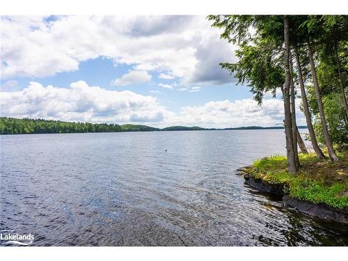 0 Island Meda Island, Muskoka Lakes, ON 