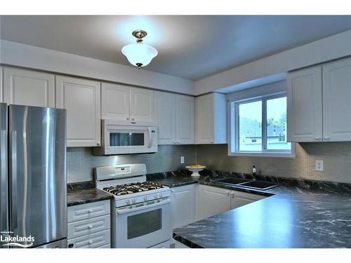 22 Silversands Crescent, Wasaga Beach, ON - Indoor Photo Showing Kitchen With Double Sink