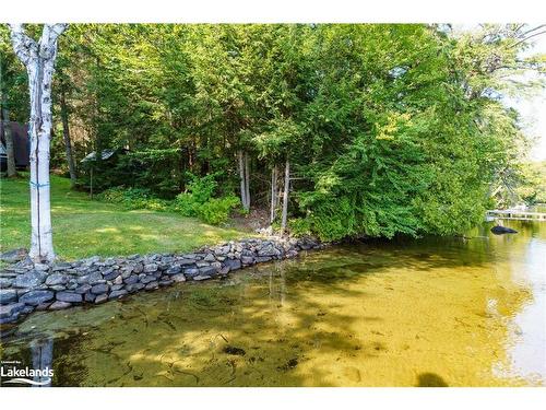 1363 West Oxbow Lake Road, Dwight, ON - Outdoor With Body Of Water