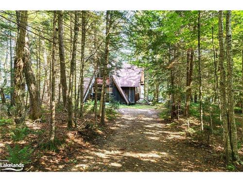 1363 West Oxbow Lake Road, Dwight, ON - Outdoor