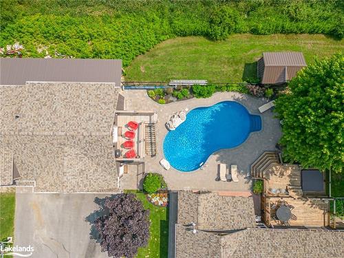 47 Blackburn Avenue, Nottawa, ON - Outdoor With In Ground Pool