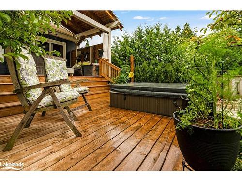 230 Napier Street, Collingwood, ON - Outdoor With Deck Patio Veranda With Exterior