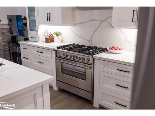 176 Fifth Street, Collingwood, ON - Indoor Photo Showing Kitchen With Upgraded Kitchen