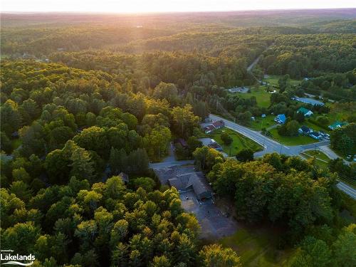 2483 Old Muskoka Road, Utterson, ON - Outdoor With View