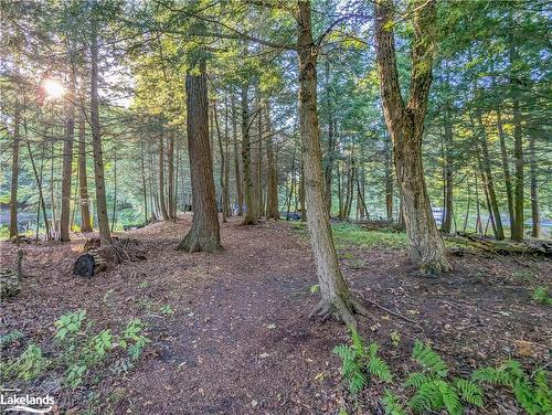 97 Southbank Drive, Bracebridge, ON - Outdoor With View