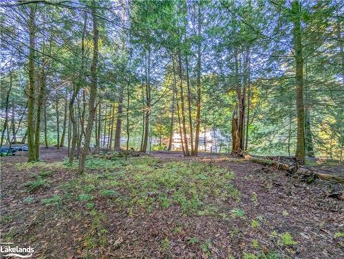 97 Southbank Drive, Bracebridge, ON - Outdoor With View