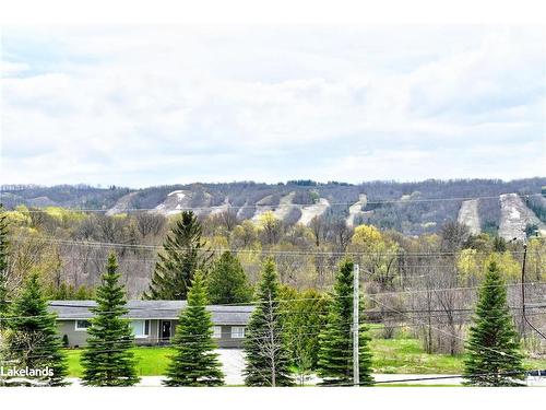 10-209707 26 Highway, The Blue Mountains, ON - Outdoor With View