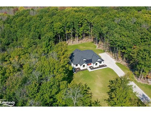 306 Balmy Beach Road, Georgian Bluffs, ON - Outdoor With View