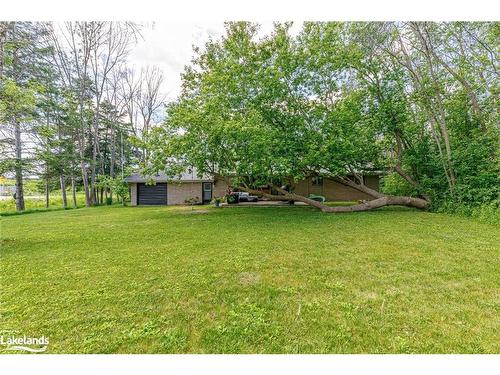 6278 Vancise Court, Clearview, ON - Outdoor