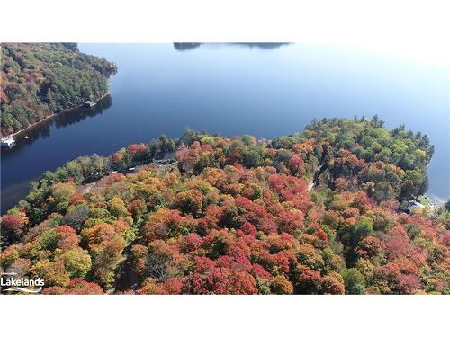 0 Osborne Point Road, Lake Of Bays Near Dwight, ON 