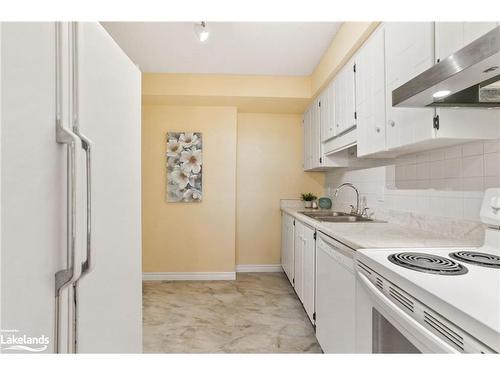 101-860 9Th Street E, Owen Sound, ON - Indoor Photo Showing Kitchen With Double Sink