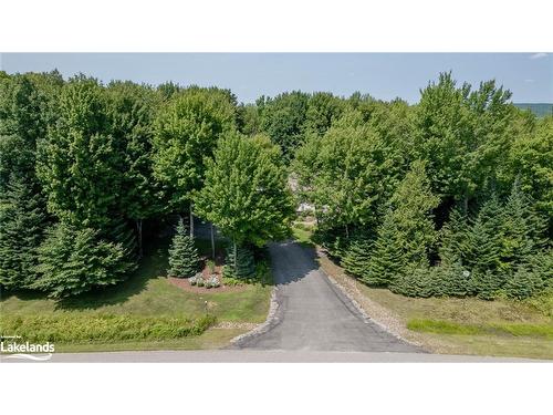 24 Birchwood Drive, Huntsville, ON - Outdoor With View