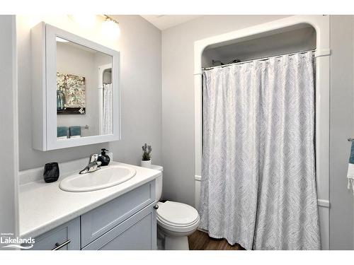 108 Warbler Way, Thornbury, ON - Indoor Photo Showing Bathroom