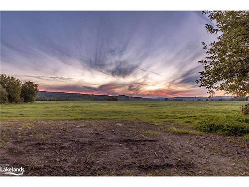 3332 County Road 42, Creemore, ON - Outdoor With View