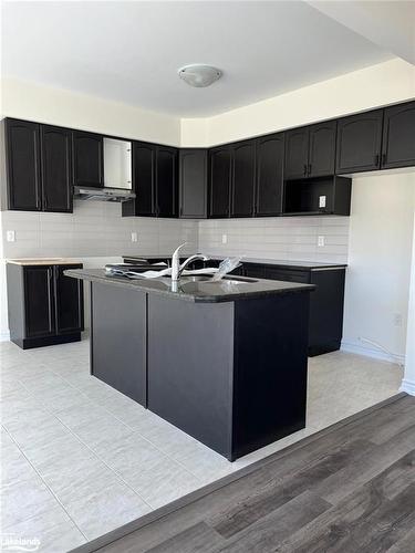 260 Beechwood Forest Lane, Gravenhurst, ON - Indoor Photo Showing Kitchen With Double Sink