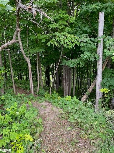 Part Lot 40 12 Concession, The Blue Mountains, ON 