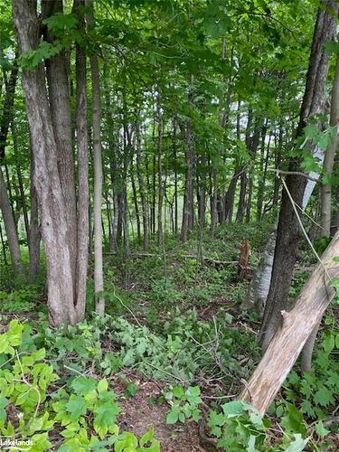 Part Lot 40 12 Concession, The Blue Mountains, ON 