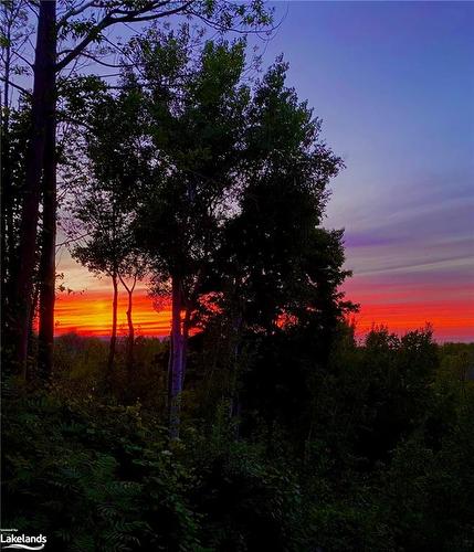 167 39Th Sideroad, The Blue Mountains, ON - Outdoor With View