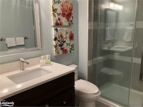 903 Cedar Pointe Court, Collingwood, ON - Indoor Photo Showing Bathroom