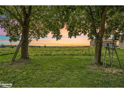 11162 County Road 10, Clearview, ON - Outdoor With View