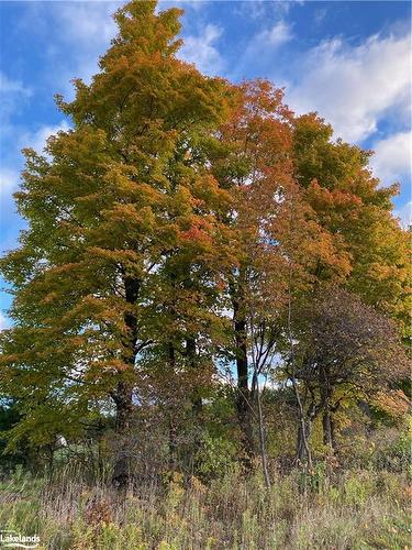 0 Euphrasia St Vincent Townline, Meaford Municipality, ON 