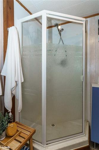 1119 Grist Mill Lane, Dorset, ON - Indoor Photo Showing Bathroom