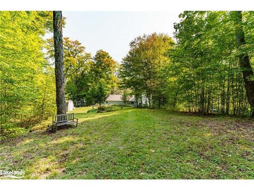 1119 Grist Mill Lane, Dorset, ON - Outdoor