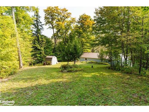 1119 Grist Mill Lane, Dorset, ON - Outdoor