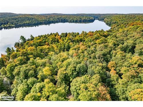 1119 Grist Mill Lane, Dorset, ON - Outdoor With Body Of Water With View