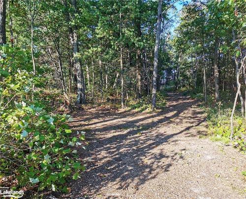 32 A11 Island, Pointe Au Baril, ON - Outdoor With View